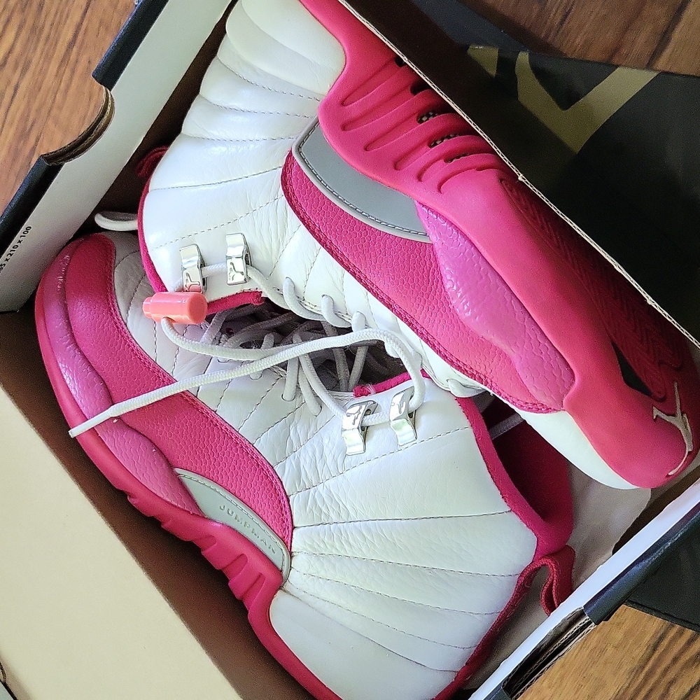 Jordan retro 12
